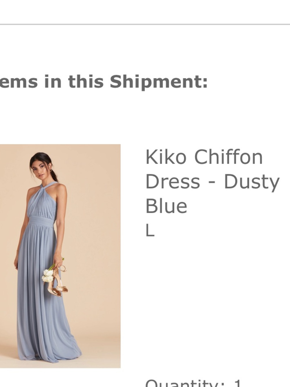 Birdy Grey Chiffon Maxi Dress in Dusty Blue